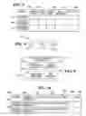 Fig. 04 - Access to a processing device