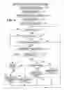 Fig. 05 - Access to a processing device