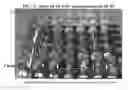 Fig. 03 - PREVENTION OF TRANSGENE ESCAPE IN GENETICALLY MODIFIED PERENNIALS