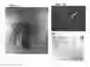 Fig. 04 - PREVENTION OF TRANSGENE ESCAPE IN GENETICALLY MODIFIED PERENNIALS