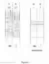 Fig. 08 - Heat exchanger having winding micro-channels