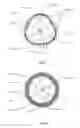 Fig. 04 - Shoulder ring with axial retention