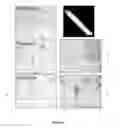 Fig. 07 - Acousto-optic sorting