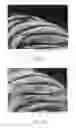 Fig. 06 - Method of determining the cuticle scale height of fibers