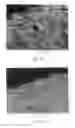 Fig. 09 - Method of determining the cuticle scale height of fibers