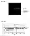 Fig. 06 - Substrate surface inspection method and inspection apparatus