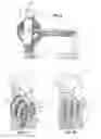 Fig. 04 - Pulley