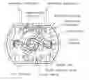 Fig. 01 - Brush device for motor