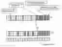 Fig. 01 - Pruning methods for the generation of S-random interleavers, and interleaver performing the methods