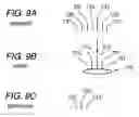 Fig. 10 - Radar apparatus and control method of the same
