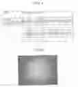 Fig. 02 - Solid-state image-capturing apparatus, camera, and method of processing signal