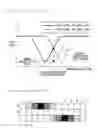 Fig. 08 - Scanning line interpolating device and scanning line interpolation method