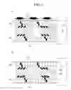 Fig. 06 - Liquid crystal display