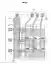 Fig. 04 - Array substrate for in-plane switching mode liquid crystal display device and method of fabricating the same