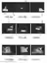 Fig. 07 - High dynamic range scenographic image projection