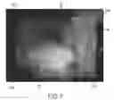 Fig. 08 - High dynamic range scenographic image projection
