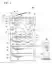 Fig. 02 - Image formation apparatus