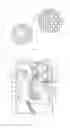 Fig. 02 - Patterned media bits with cladding shell