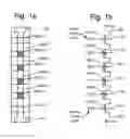 Fig. 02 - Compensating for coupling during read operations in non-volatile storage