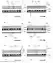 Fig. 15 - Rotation responsive disk activation and deactivation mechanisms