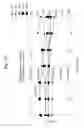 Fig. 29 - FRESNEL MEMBER HAVING VARIABLE SAG FOR MULTIPLE WAVELENGTH OPTICAL SYSTEM