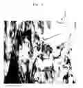 Fig. 03 - Surface coated tool and method of working cutting object