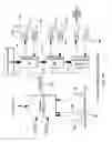 Fig. 40 - Helicopter hub mounted vibration control and circular force generation systems for canceling vibrations