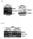 Fig. 02 - Method for screening anti-HIV Drugs and a diagnostic method of AIDS