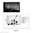 Fig. 02 - Detection of HIV-1 infection