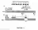Fig. 02 - Replication-competent anti-cancer vectors
