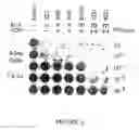 Fig. 06 - Replication-competent anti-cancer vectors