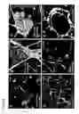 Fig. 08 - Engineered Lung Tissue Construction for High Throughput Toxicity Screening and Drug Discovery