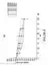 Fig. 71 - Compositions and methods for antibodies targeting complement protein C5