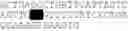 Fig. 02 - Modified T cell receptors and related materials and methods