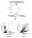Fig. 02 - METHODS FOR TREATING VIRAL DISORDERS