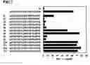 Fig. 08 - Antigenic polypeptide usable as therapeutic agent for malignant neoplasm