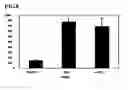 Fig. 09 - Antigenic polypeptide usable as therapeutic agent for malignant neoplasm
