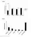 Fig. 02 - Prevention of allergic sensitization