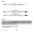 Fig. 02 - Recombinant bicistronic vectors