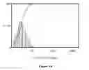 Fig. 09 - Osteoinductive calcium phosphates