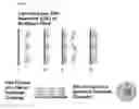 Fig. 02 - Immunogenic compositions and methods of use