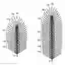 Fig. 01 - ARTIFICIAL PALM FROND FOR AN ARTIFICIAL PALM TREE