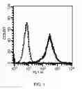 Fig. 02 - Chimeric Fcγ receptor and method for determination of ADCC activity by using the receptor