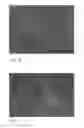 Fig. 03 - Human embryonic stem cell-derived connective tissue progenitors for tissue engineering