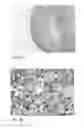 Fig. 10 - Human embryonic stem cell-derived connective tissue progenitors for tissue engineering