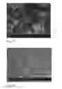 Fig. 14 - Human embryonic stem cell-derived connective tissue progenitors for tissue engineering