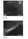 Fig. 17 - Human embryonic stem cell-derived connective tissue progenitors for tissue engineering