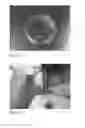 Fig. 29 - Human embryonic stem cell-derived connective tissue progenitors for tissue engineering