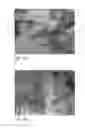Fig. 30 - Human embryonic stem cell-derived connective tissue progenitors for tissue engineering