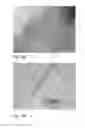 Fig. 32 - Human embryonic stem cell-derived connective tissue progenitors for tissue engineering